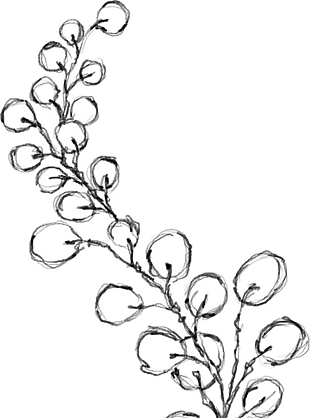 花朵矢量圖免扣