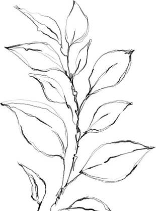 花朵矢量圖免扣