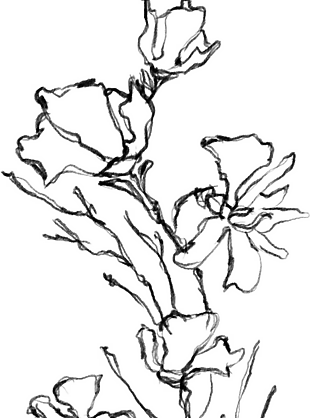 花朵矢量圖免扣