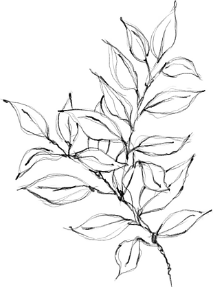 花朵矢量圖免扣