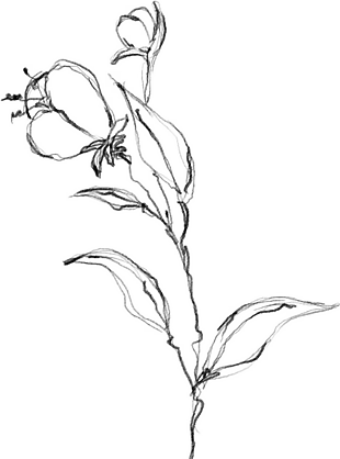 花朵矢量圖免扣