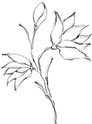 花朵矢量圖免扣