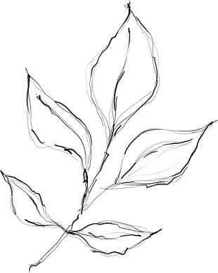 花朵矢量圖免扣