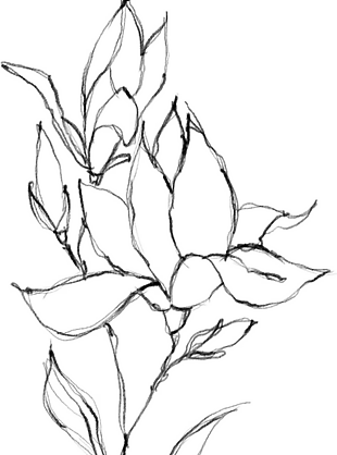 花朵矢量圖免扣