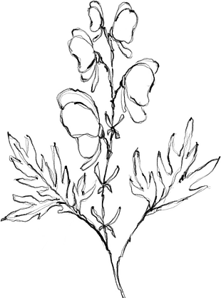 花朵矢量圖免扣