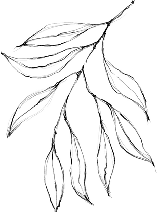 花朵矢量圖免扣