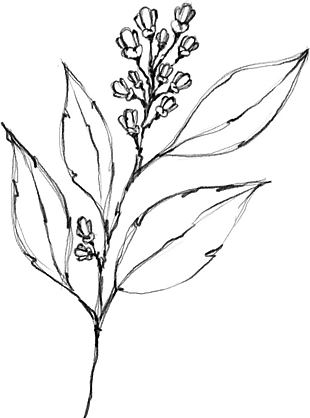 花朵矢量圖免扣