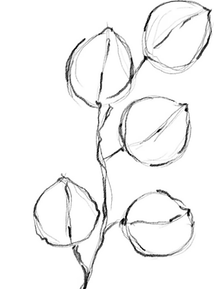 花朵矢量圖免扣