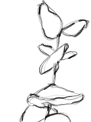 花朵矢量圖免扣