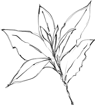 花朵矢量圖免扣