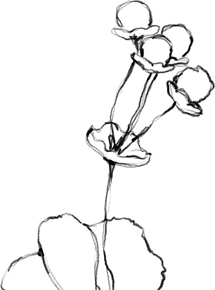 花朵矢量圖免扣