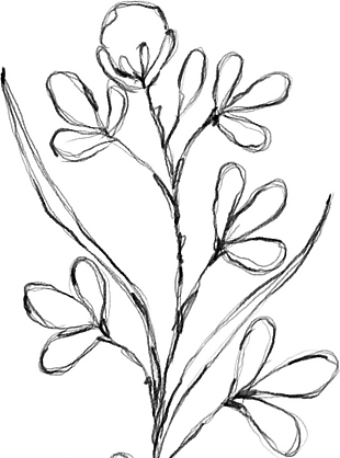 花朵矢量圖免扣
