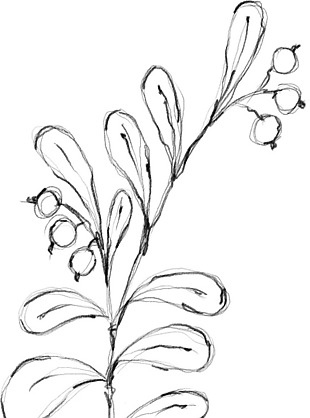 花朵矢量圖免扣