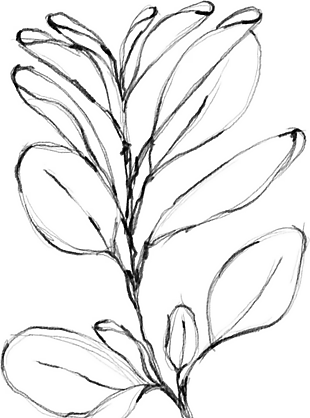 花朵矢量圖免扣