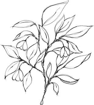 花朵矢量圖免扣