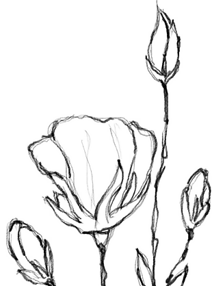 花朵矢量圖免扣