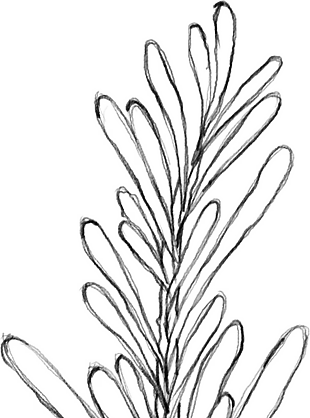 花朵矢量圖免扣