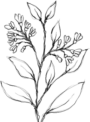 花朵矢量圖免扣