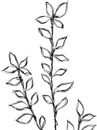花朵矢量圖免扣