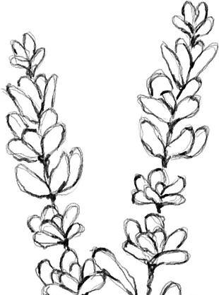 花朵矢量圖免扣