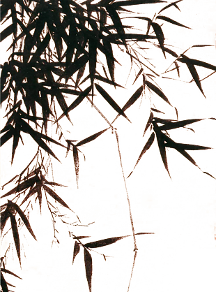 中國風(fēng) 工筆畫 水墨竹子 PNG免摳素材