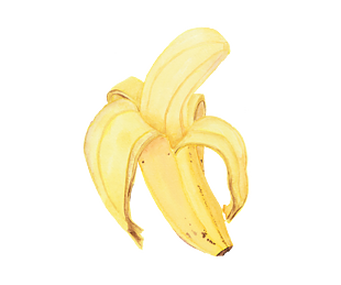 手绘 水果 卡通元素 香蕉