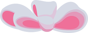 蝴蝶結