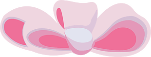 蝴蝶结