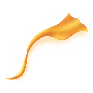 彩帶絲帶裝飾