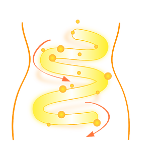 肠胃