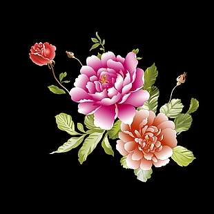 花 花素材 牡丹花