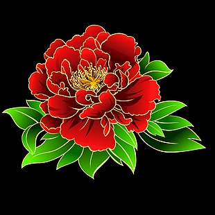 花 花素材 牡丹花