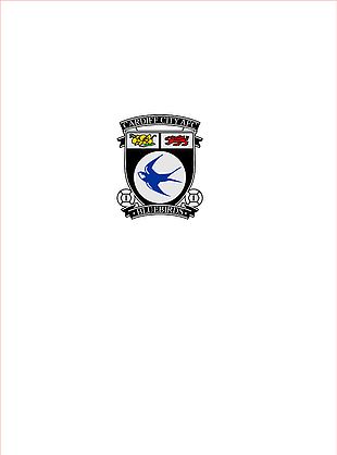 cardiffcityafc 足球隊