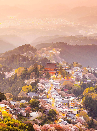 風(fēng)景