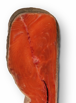 魚(yú)肉
