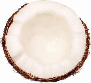 椰子