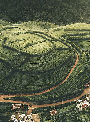 風(fēng)景 風(fēng)景畫 背景 背景畫 畫
