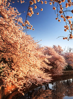 風(fēng)景 風(fēng)景畫(huà) 背景 背景畫(huà) 畫(huà)