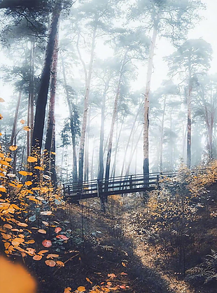 風(fēng)景 風(fēng)景畫 背景 背景畫 畫