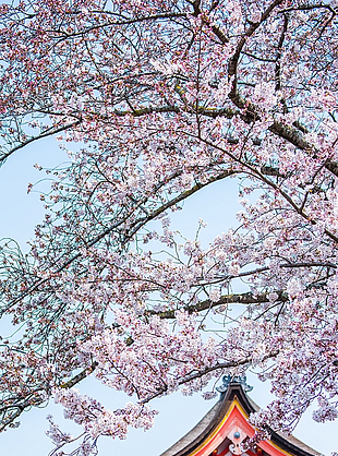 風(fēng)景 風(fēng)景畫 背景 背景畫 畫