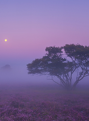 風景 風景畫 背景 背景畫 畫