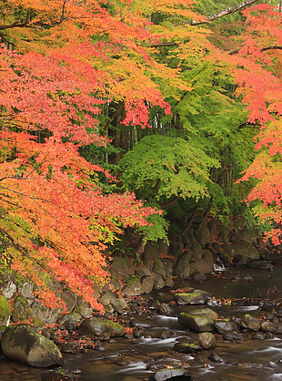 風(fēng)景 風(fēng)景畫(huà) 背景 背景畫(huà) 畫(huà)