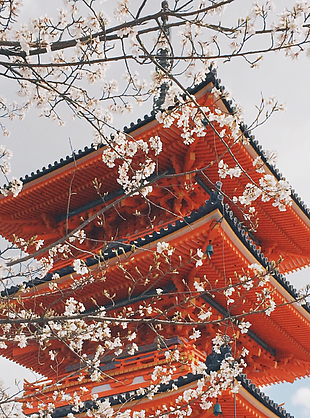 風景 風景畫 背景 背景畫 畫