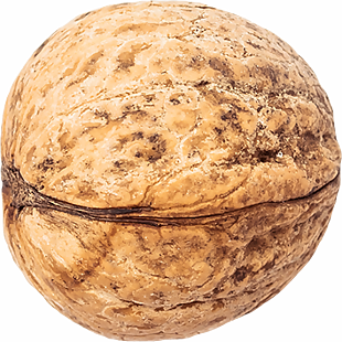 核桃