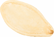 南瓜子