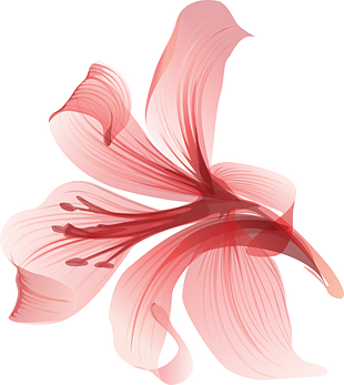 紅花彩繪