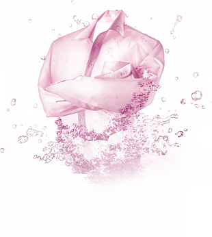 粉色洗滌衣物