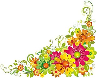菊花 花朵 葉子