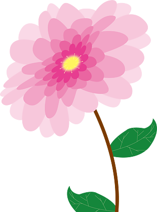 花朵