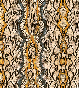 桔色蛇紋